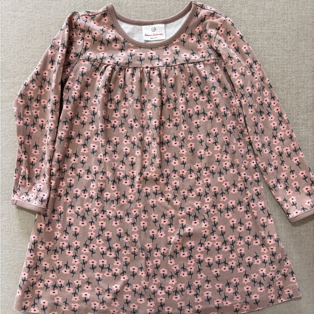 Hanna Andersson Pink Floral Long-Sleeve Dress